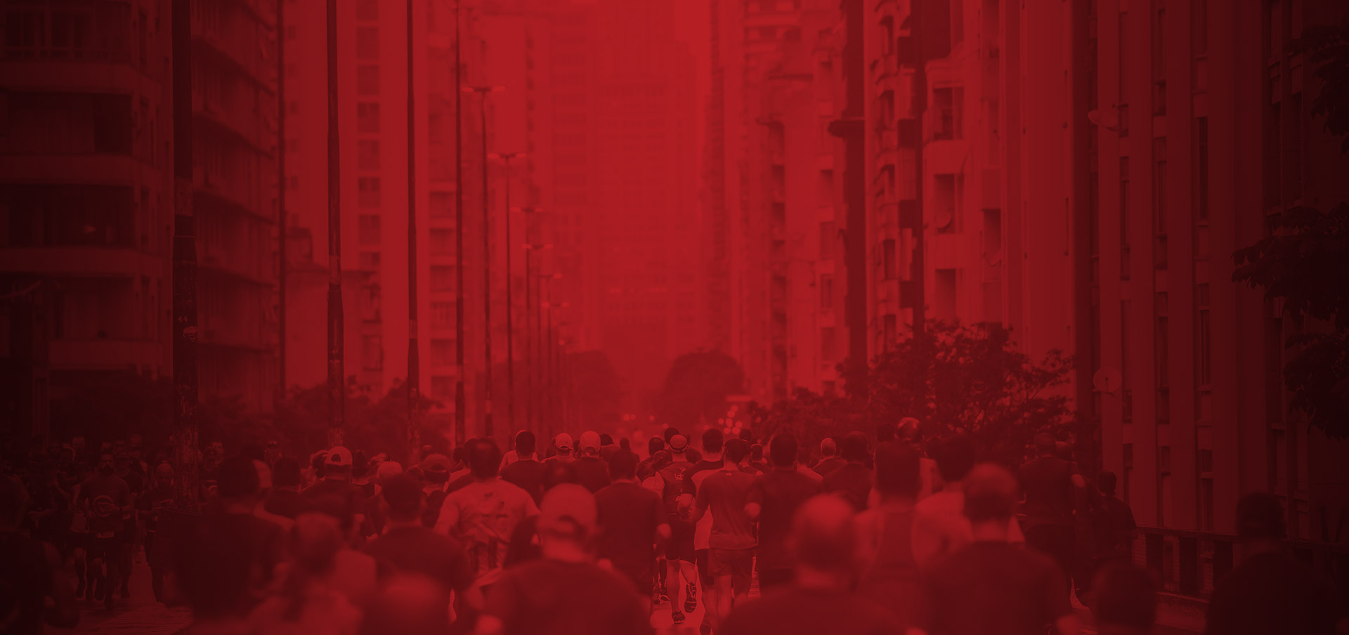 Expo Meia de Sampa